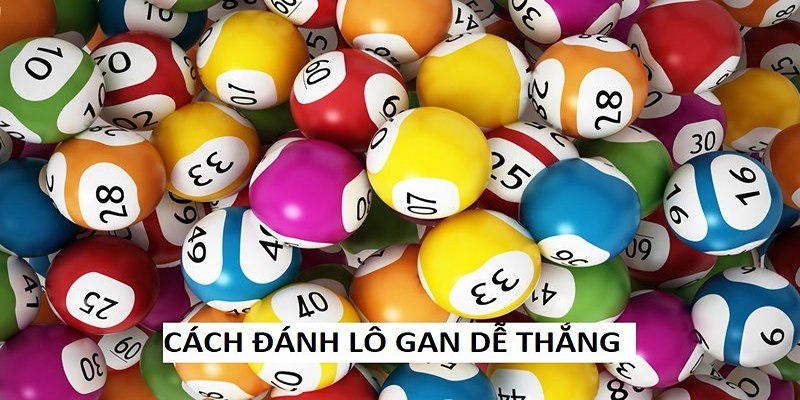 Kinh nghiệm bắt lô gan cùng chuyên gia sin88