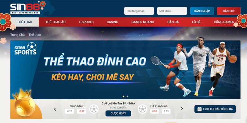 Thể thao Sin88 là sảnh cược đáng mong chờ nhất 2025